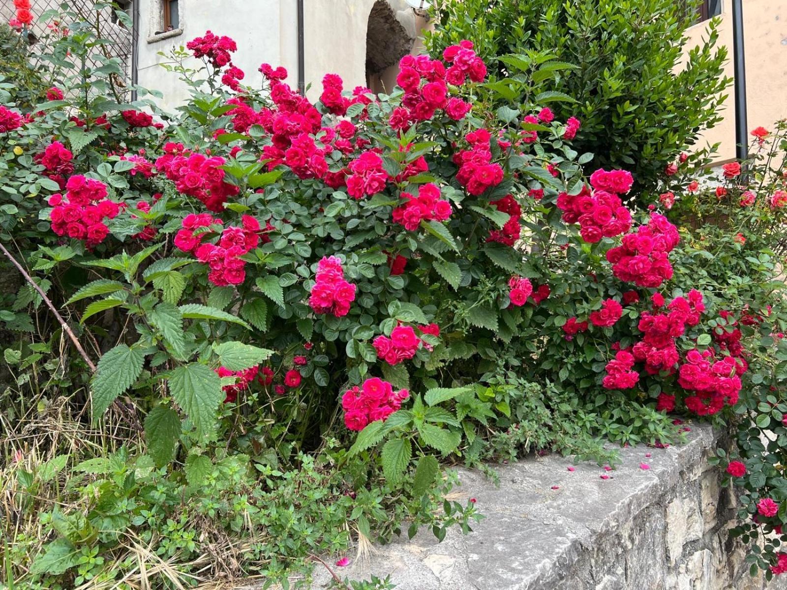 La Casetta - * Montenero Val Cocchiara